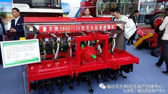 智能农机助力花生种植 从播种到摘果的全程机械化选择